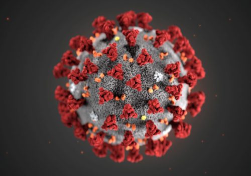 The ultrastructural morphology exhibited by the 2019 Novel Coronavirus (2019-nCoV), which was identified as the cause of an outbreak of respiratory illness first detected in Wuhan, China, is seen in an illustration released by the Centers for Disease Control and Prevention (CDC) in Atlanta, Georgia, U.S. January 29, 2020. Alissa Eckert, MS; Dan Higgins, MAM/CDC/Handout via REUTERS.  THIS IMAGE HAS BEEN SUPPLIED BY A THIRD PARTY. MANDATORY CREDIT - RC2WPE9DIU7K